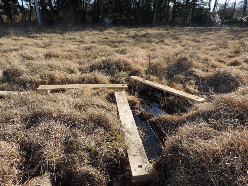 cheminements en bois CNRS 2