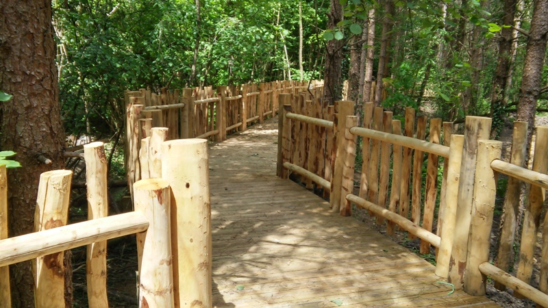 kiosque d'observation et passerelle en rondins (1)