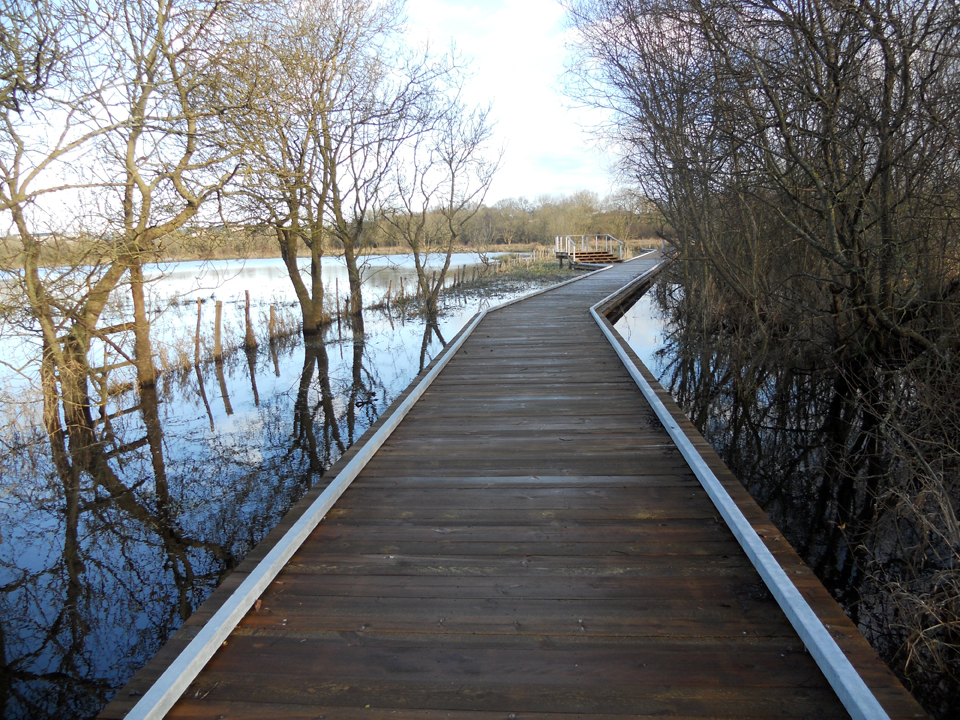 pelousiere-st-herblain-bois-loisirs-cretations-3