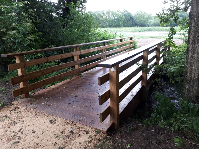 Renaturation de 3 lagunes et création parcours pédagogique - TOUTLEMONDE (49)