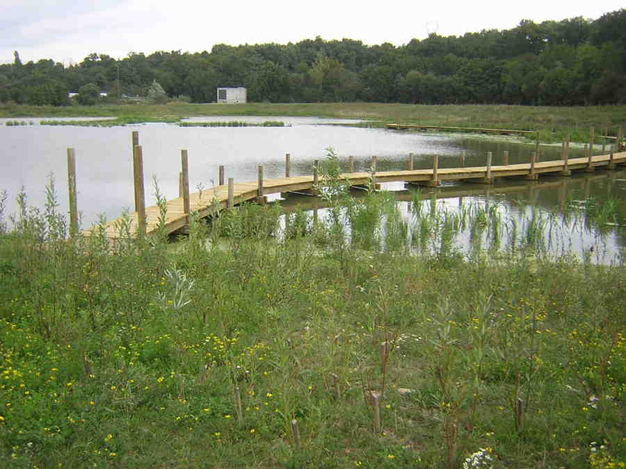 Cheminement bois de l'Ilette à Vertou