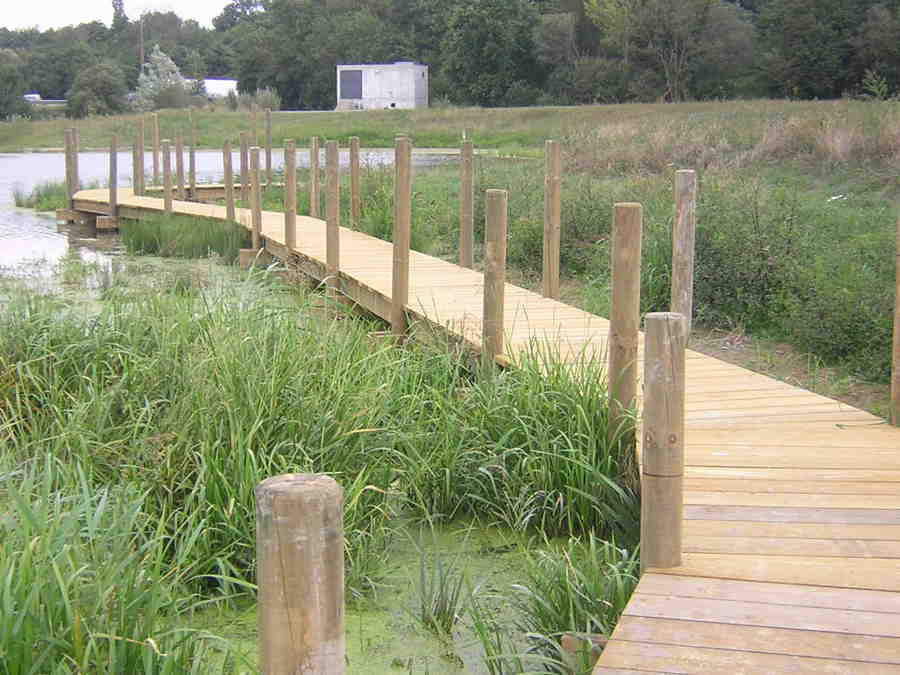 Cheminement bois de l'Ilette à Vertou 2