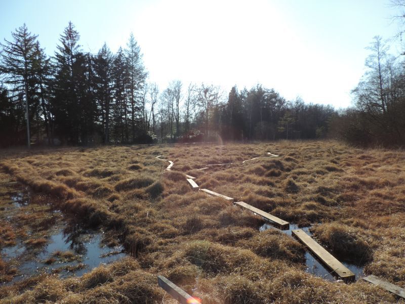 cheminements en bois CNRS 1