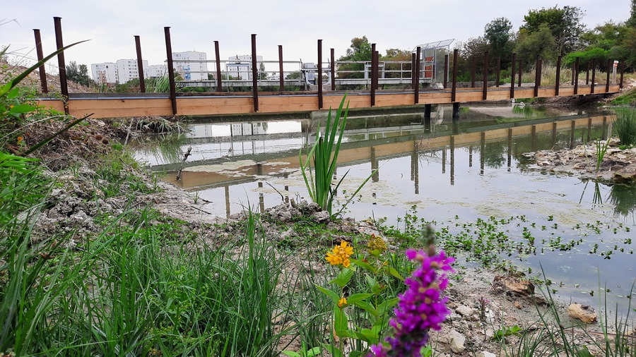 La Rochelle - Une passerelle métal habillage bois de 22 m