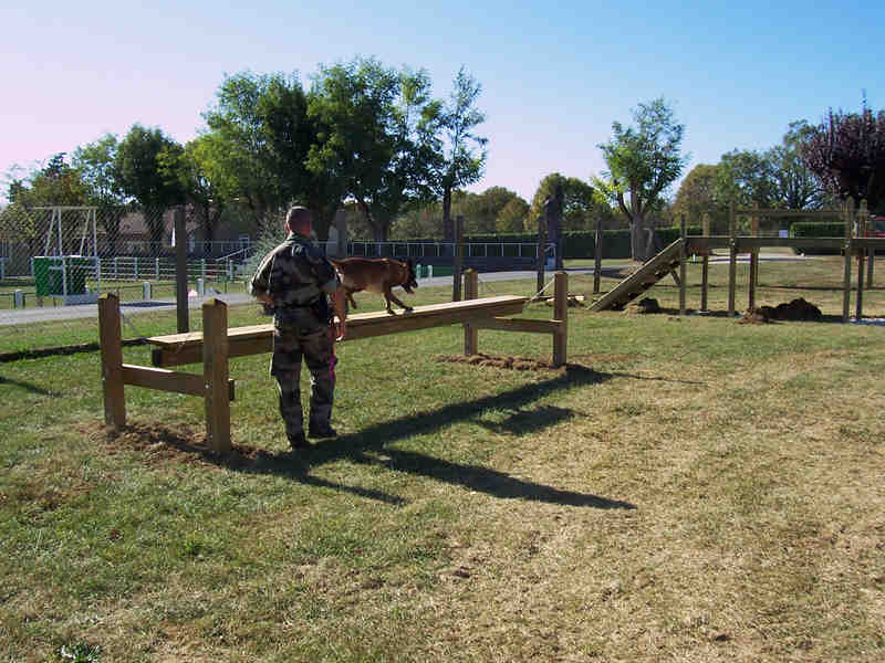 Parcours pour chiens