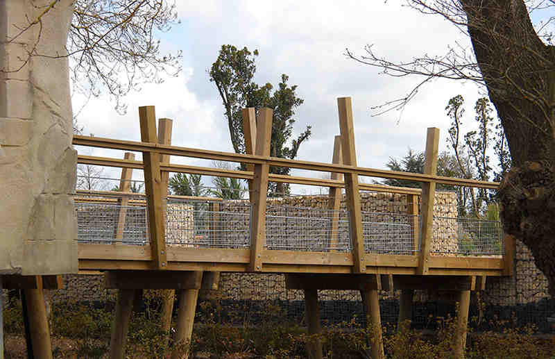 Passerelle, platelage - TERRA-BOTANICA