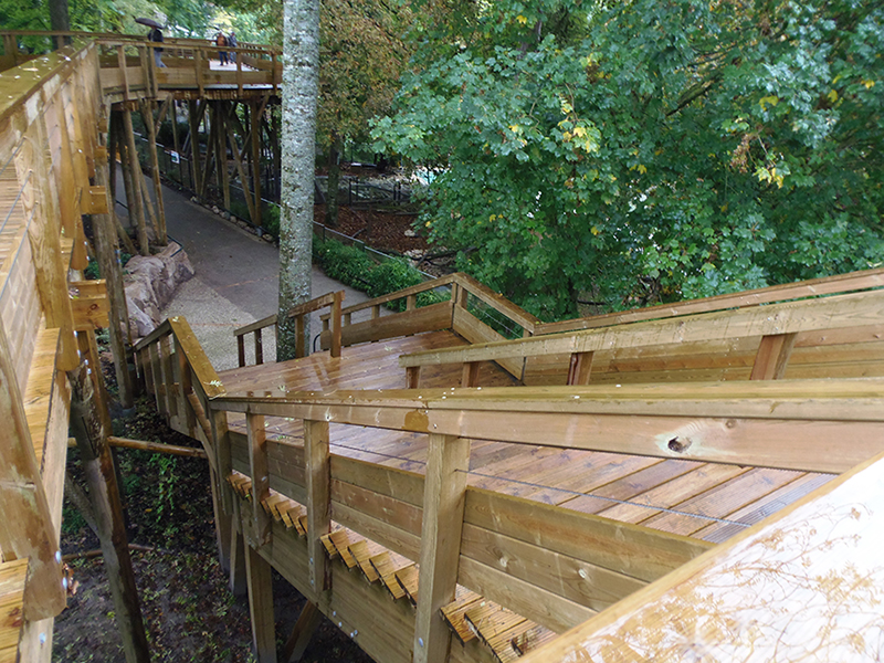 ZOO-BEAUVAL-Passerelle-escalier-des-fourmiliers-1