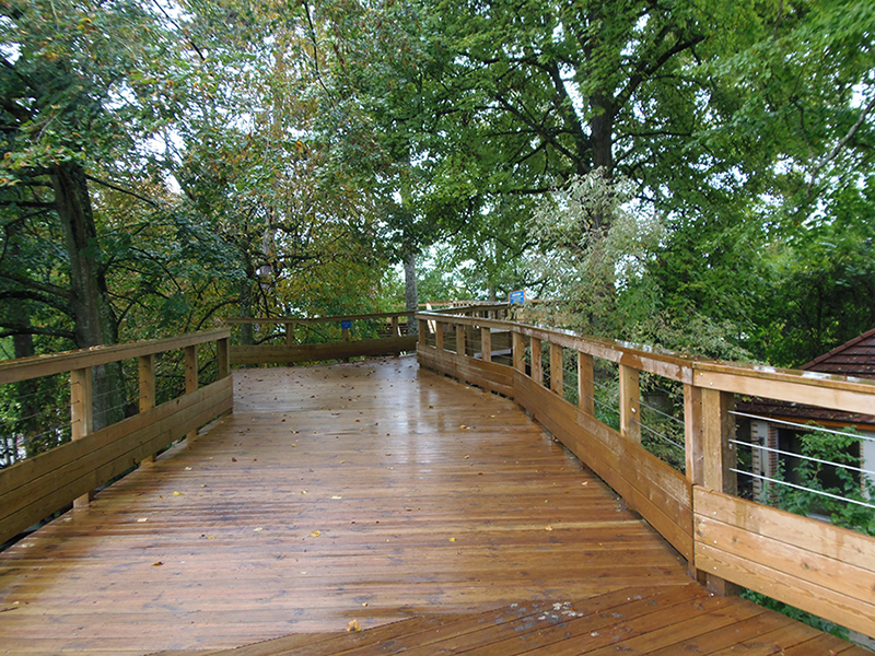 ZOO-BEAUVAL-Passerelle-escalier-des-fourmiliers-3