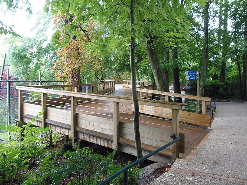 ZOO-BEAUVAL-Passerelle-escalier-des-fourmiliers-4