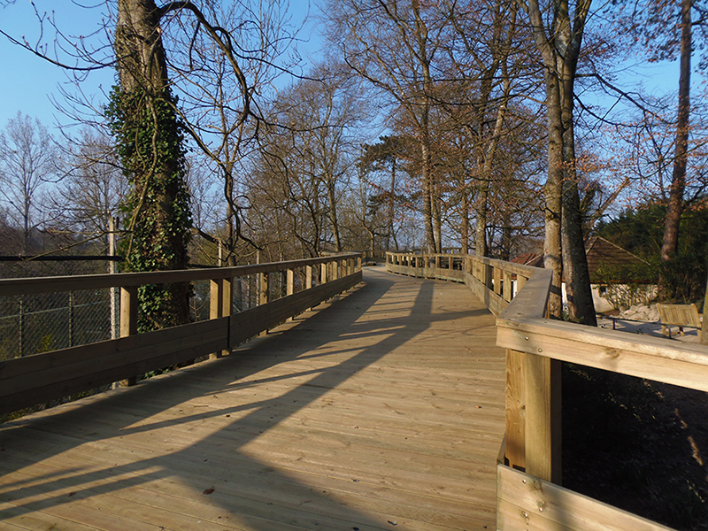 ZOO-BEAUVAL-Passerelle-escalier-des-fourmiliers-5